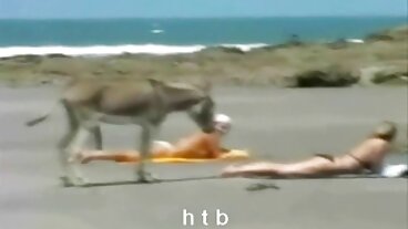 বিনামূল্যে বাংলা চোদা চুদি মুভি সংকলন সিনেমা